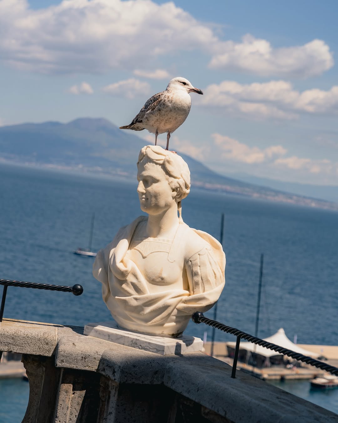 Marble bust with a seagull over the Bay of Naples
